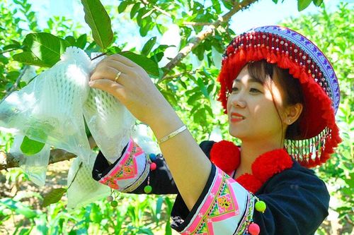 Phát triển du lịch cộng đồng từ bản sắc văn hóa