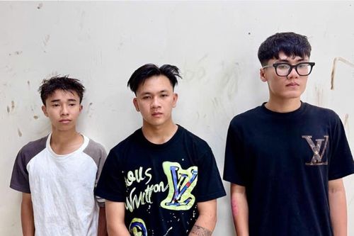 Bắt nhóm thanh, thiếu niên ở An Giang mang hung khí đập phá nhà dân