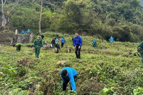 Ra quân Tháng Thanh niên tại xã Phục Hòa và Đình Phong