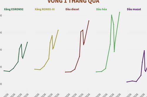Giá xăng dầu được điều chỉnh từ 23 giờ ngày 19/3, xăng RON95-III vượt mốc 30 nghìn đồng/lít