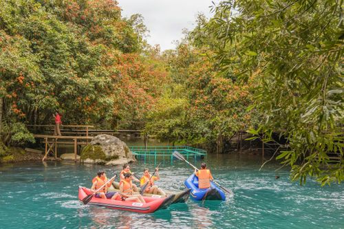 Mùa vàng anh 'thắp nắng' giữa Phong Nha - Kẻ Bàng