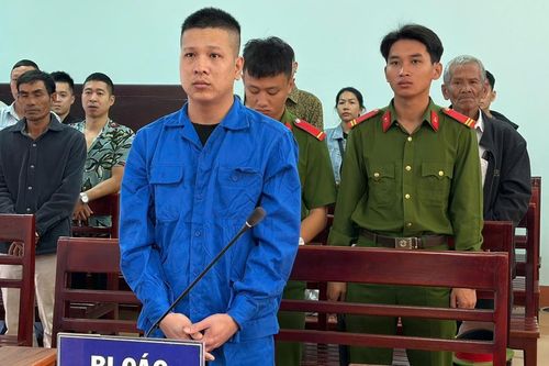 Lĩnh án vì hành hung CSGT đang làm nhiệm vụ