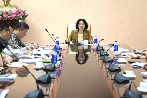 Tăng cường thực thi hiệu quả Công ước quốc tế về quyền người khuyết tật