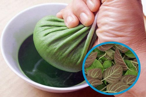 9 bài thuốc từ lá mơ lông (mơ tam thể)