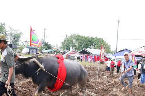 Lưu giữ sắc màu văn hóa Tày, Nùng từ lễ hội Lồng Tồng ở Tây Nguyên