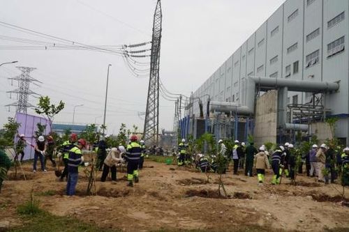 Tươi mãi màu xanh thanh niên tại NMNĐ Thái Bình 2
