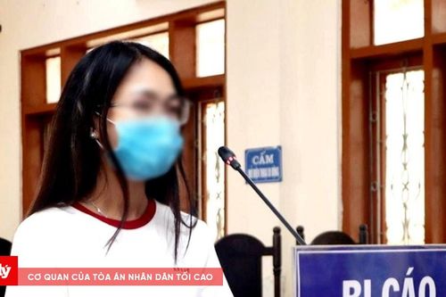 Trốn thuế khi kinh doanh online, chủ hộ lĩnh án