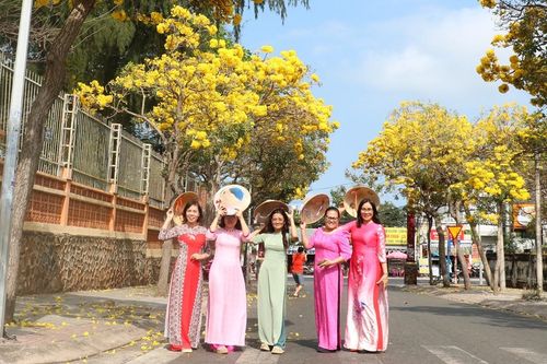 Sắc hoa phong linh 'nhuộm vàng' tuyến phố ở Vũng Tàu, du khách rủ nhau check-in