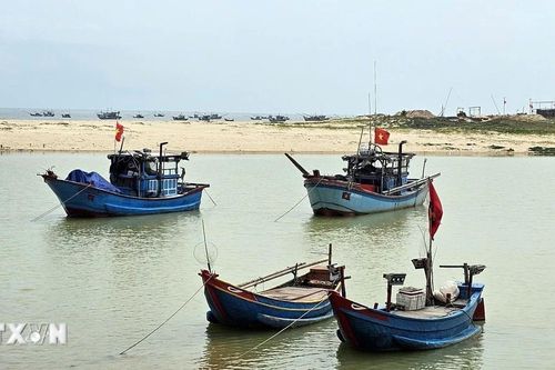 Hàng trăm tàu thuyền 'mắc cạn' tại cửa sông Dinh