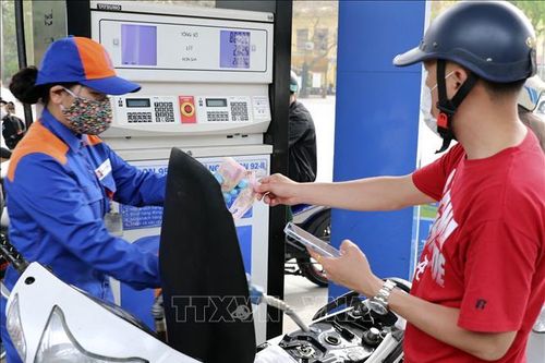 Quản lý xăng dầu thông qua tiêu chuẩn, hướng tới tăng trưởng xanh, bền vững