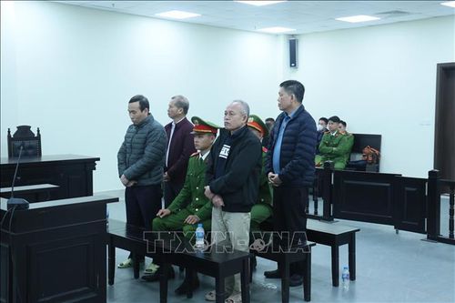 Hai cựu lãnh đạo Ban Quản lý dự án Đắk Lắk cùng kháng cáo xin giảm nhẹ hình phạt