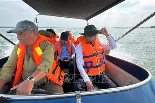 Lên phương án xử lý dứt điểm nuôi cá lồng bè trái phép trên lòng hồ Dầu Tiếng