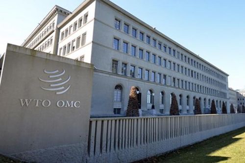 Thấy gì từ thay đổi dự báo tăng trưởng thương mại mới nhất của WTO?