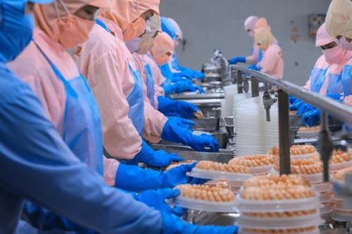 Thị trường thủy sản Italia: 'Cửa sáng' cho doanh nghiệp Việt