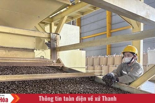 Doanh nghiệp về làng (Bài 1): 'Gõ cửa' làng quê