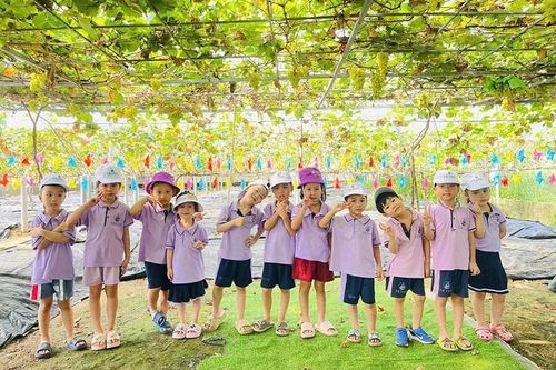 Xanh lên khát vọng (Bài 1): Thức dậy những... mầm xanh