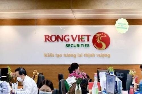 Nhóm Nutifood trở thành cổ đông lớn nhất tại Chứng khoán Rồng Việt