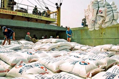 Tận dụng FTA để mở rộng thị trường xuất khẩu gạo trong bối cảnh nhiều biến động