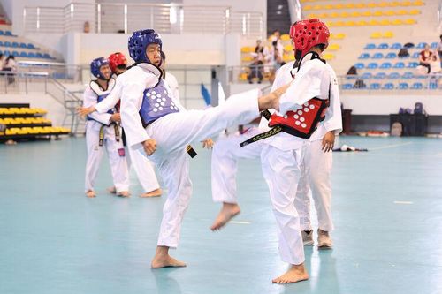 Chuyên nghiệp hóa phong trào Taekwondo