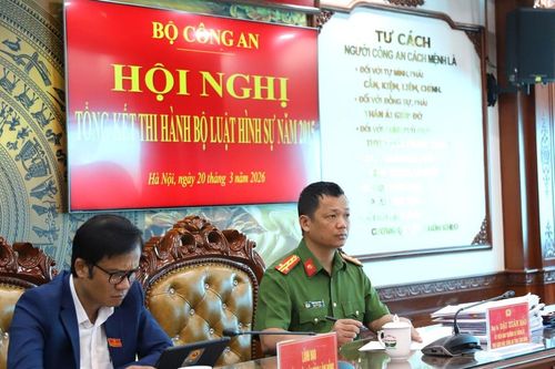 Tổng kết thi hành Bộ luật Hình sự năm 2015