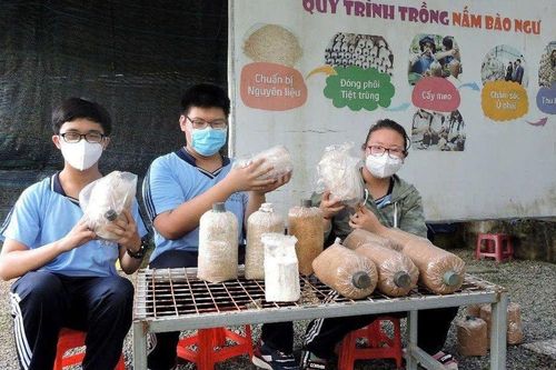 Đề án an toàn thực phẩm giai đoạn 2026 – 2030: Hướng tới nông nghiệp bền vững và hội nhập