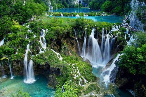Việt Nam là một trong những quốc gia dẫn đầu khu vực châu Á về phục hồi và quản lý rừng bền vững