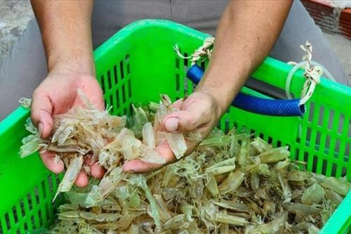 HTX vẫn gặp lực cản trong kéo dài chuỗi giá trị gia tăng