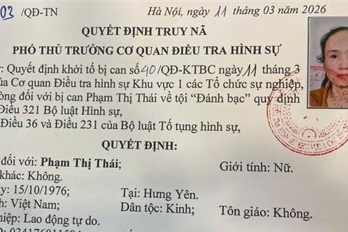 Truy nã bị can Phạm Thị Thái về tội đánh bạc