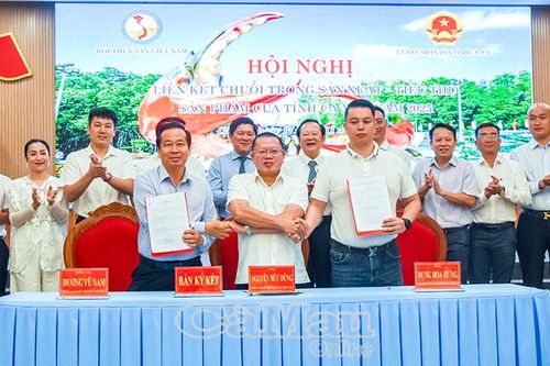Ðịnh vị du lịch Cà Mau - Bài cuối: Phát huy giá trị từ chuỗi liên kết