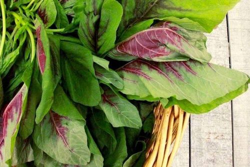 Không phải rau đắt tiền, đây mới là nhóm 'ít bị phun thuốc trừ sâu' đáng mua ngoài chợ