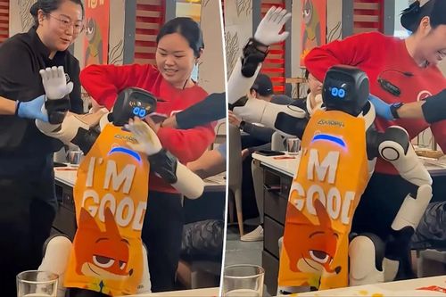 Robot đang biểu diễn bỗng 'nổi loạn' trong nhà hàng, nhân viên hoảng sợ lôi đi