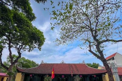 Lễ hội tổng Nam Phù lưu giữ di sản trong từng nếp đình, mái chùa
