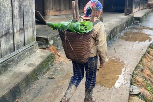 Vòng luẩn quẩn tảo hôn ở miền Tây Nghệ An: Tìm lối thoát khỏi vòng luẩn quẩn bỏ học, tảo hôn và nghèo đói (Kỳ 3)