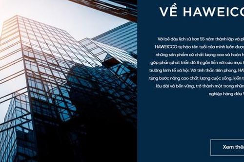 Haweicco bị xử phạt vi phạm chứng khoán