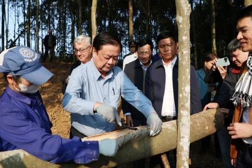 Lấy người dân làm trung tâm trong hệ sinh thái kinh tế nông nghiệp tuần hoàn