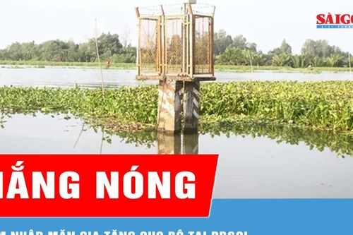 Nắng nóng khiến xâm nhập mặn gia tăng cục bộ tại ĐBSCL