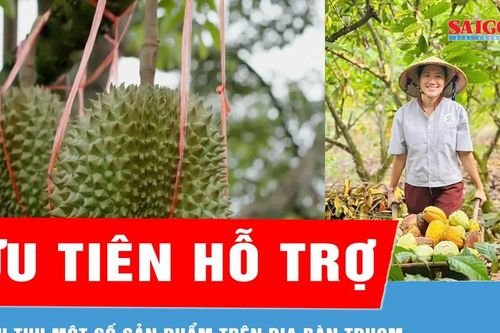 Một số ngành hàng, sản phẩm được ưu tiên hỗ trợ