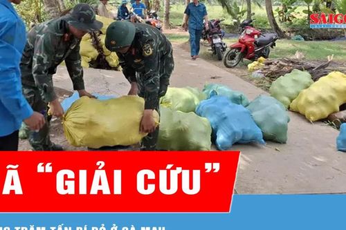 'Giải cứu' xong hàng trăm tấn bí đỏ cho nông dân Cà Mau