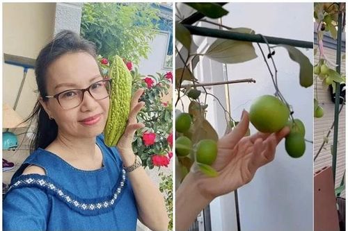 Khu vườn đủ loại cây trái trong biệt thự 400m2 của Cẩm Ly