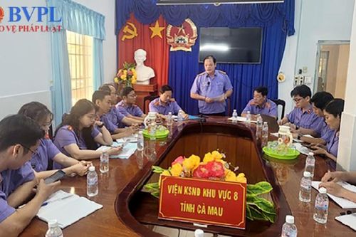 VKSND tỉnh Cà Mau kiểm tra chuyên đề tại VKSND Khu vực 8