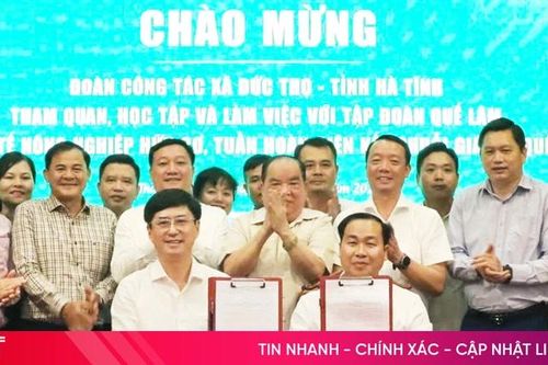 Chủ tịch UBND tỉnh Hà Tĩnh dự lễ ký hợp tác giữa xã Đức Thọ với doanh nghiệp Quế Lâm