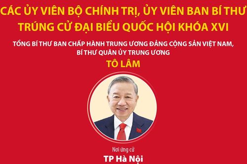 Các Ủy viên Bộ Chính trị, Ủy viên Ban Bí thư trúng cử đại biểu Quốc hội khóa XVI