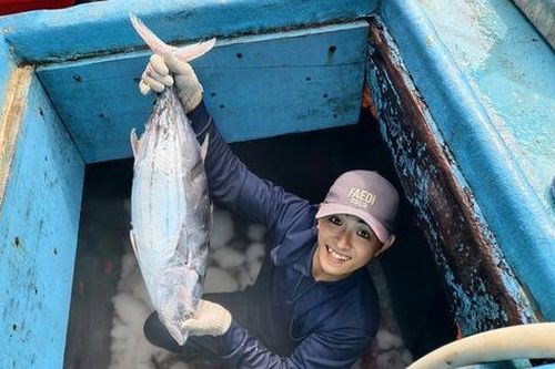 Cận cảnh hầm tàu đầy ắp cá ngừ đại dương sau chuyến biển bội thu