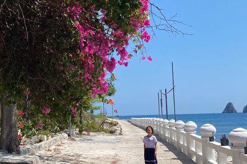 Người dân đảo Bích Đầm đợi điện, đợi đò và đợi... cơ hội đổi đời
