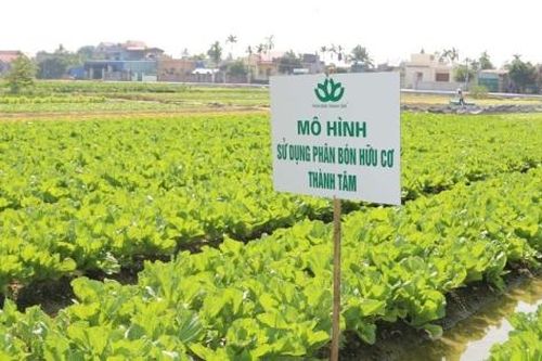 Agribank rao bán khoản nợ 256 tỷ đồng của Công ty Phân bón Thành Tâm