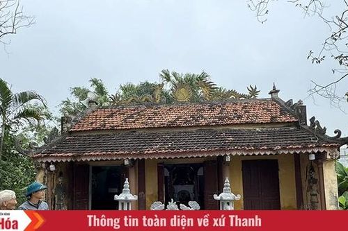 Đất làng Yên Nam