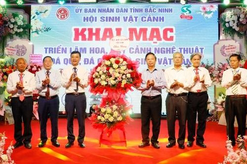 Triển lãm sinh vật cảnh - Festival Bắc Ninh 'Về miền di sản 2026' thu hút đông đảo nghệ nhân, du khách