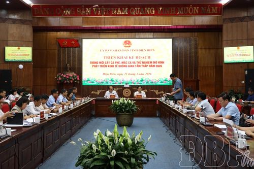 Triển khai kế hoạch trồng mới cây cà phê, mắc ca năm 2026