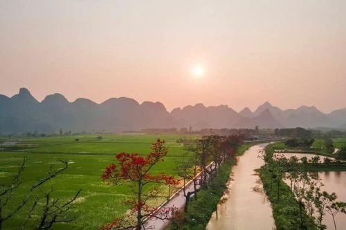 Bản hòa âm của lá