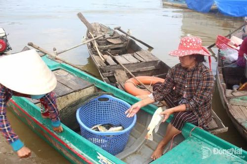 Bám con nước mưu sinh